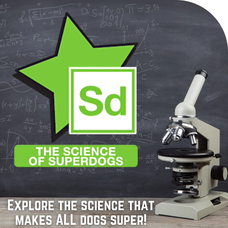 Science of SD
